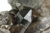 Dark Smoky Quartz Crystals - Brazil #80176-3